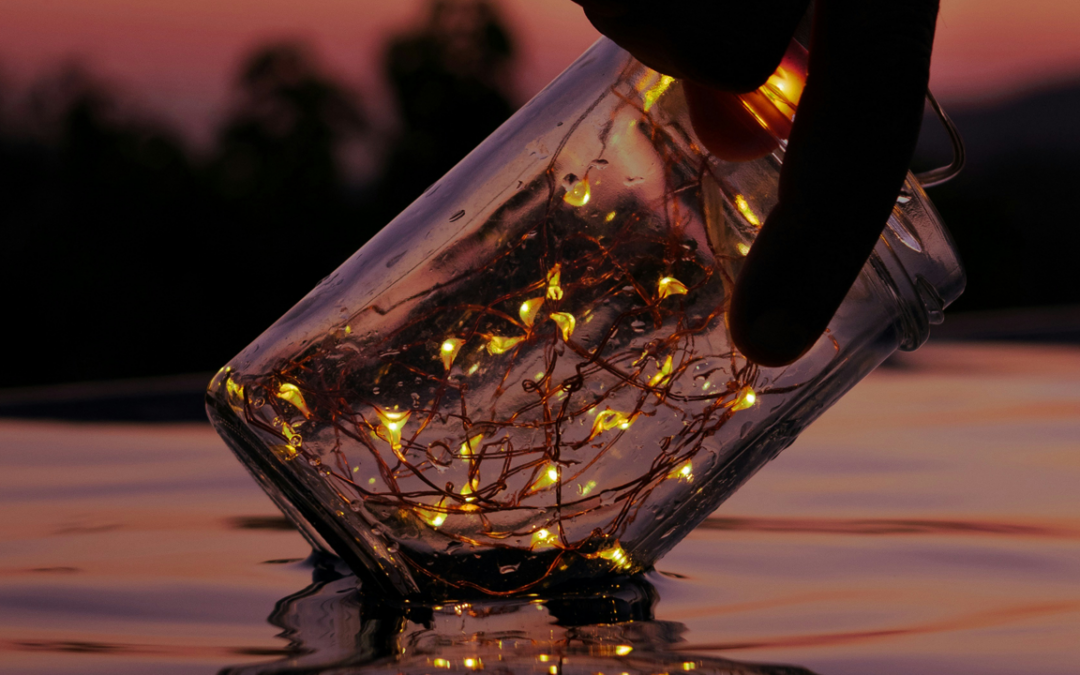 16. El Disfrute del Guerrero